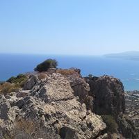 Seprenyi_Reni_del_rey_4